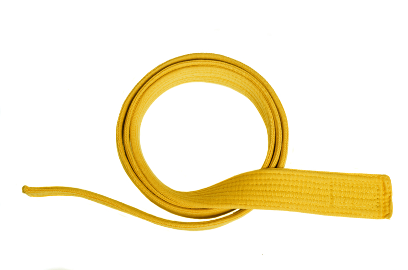 What Do Six Sigma Yellow Belts Do?